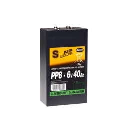 Pile Alcaline 6V/40Ah